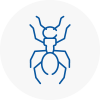 Ant Removals In Rossendale