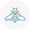 Bee Nest Removal Rossendale