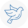 Bird Prevention Rossendale