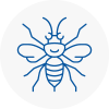 Rossendale Hornet Nest Removals