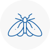 Moth Control Specialists In Rossendale