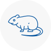 Rat Control Rossendale