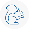 Rossendale Rodent Removals